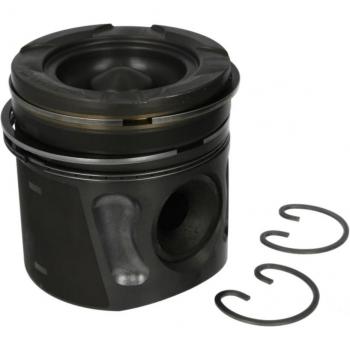 Pistón NÜRAL 87-423000-10