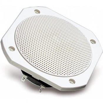 Visaton VS-FRS10WP/4W - Controladores de Altavoces