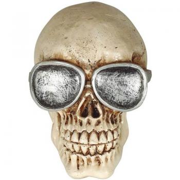 Calavera con Gafas Resina 11 cm