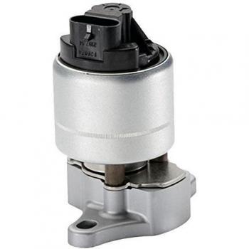 HELLA 6NU 010 171-081 AGR-Ventil
