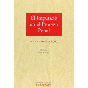 El imputado en el proceso penal