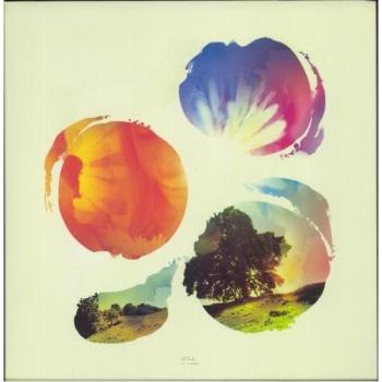 Past Is Prologue [Vinilo]