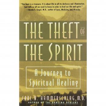Theft of the Spirit: A Transformative Journey to Spiritual Healing by Carl Hammerschlag