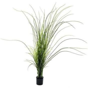 Europalms 145 cm 1 Pieza Reed de balón de, Verde