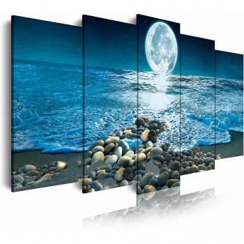 DekoArte 441 - Cuadros Modernos Impresión de Imagen Artística Digitalizada | Lienzo Decorativo Para Tu Salón o Dormitorio | Estilo Paisaje Nocturno Luna iluminando la Playa| 5 Piezas 200 x 100 cm XXL
