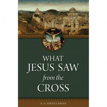 What Jesus Saw from the Cross