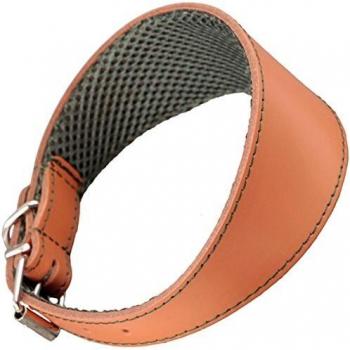 Arppe 195376050131 Collar Galgo Cuero Forro 3D Amazone, Caramelo y Verde
