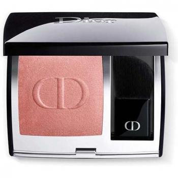 Christian Dior Rouge Blush 339 Grège - Long Wear Blush with Satin Finish
