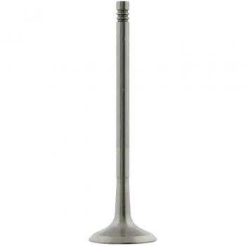 febi bilstein 24161 Exhaust Valve, pack of one