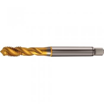 Correa acanalada en V CONTINENTAL CTAM 6PK1822 EXTRA