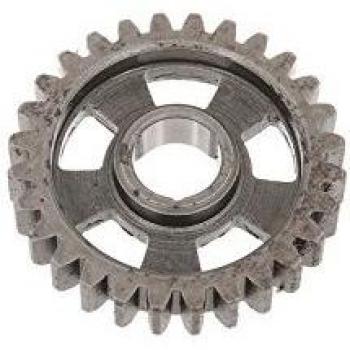 DDR altbestand Rueda dentada