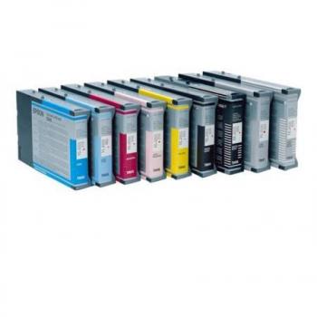 Epson Cartucho T602100 negro foto