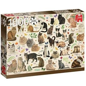 Jumbo- Poster de Gatos Puzzle de 1000 piezas