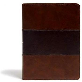 KJV Study Bible, Full-Color, Saddle Brown: Red Letter, Study Notes, Articles, Illustrations, Ribbon Marker, Easy to Read Bible Font