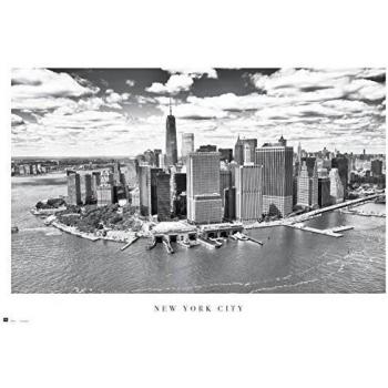 Grupo Erik Editores Poster New York City Airview