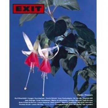 Exit imagen y cultura español/ingles