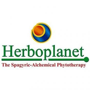 Herboplanet Miodol 60Comp - 1 unidad