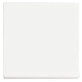 Future Linear Smart Switch Control Panel Matte White