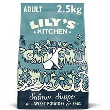 Lily's Kitchen Adult Dry Dog Food Salmon & Trout Gluten Free