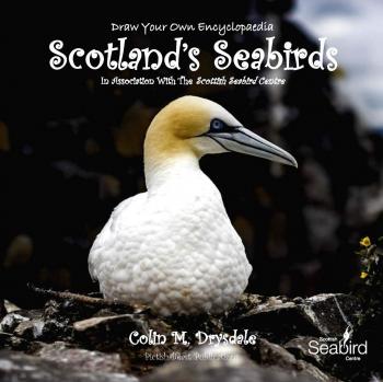 Enciclopedia Ilustrada de Aves Marinas de Escocia para Dibujar - Edición en Papel
