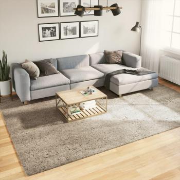 Alfombra larga pulida efecto beige 240x340 cm