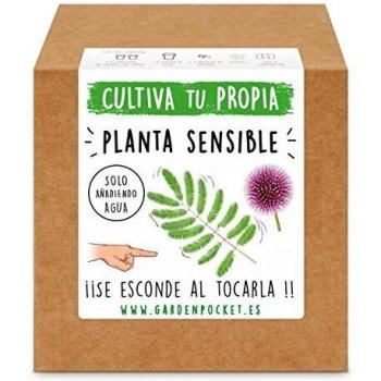 Garden Pocket - Kit Cultivo Planta Sensible