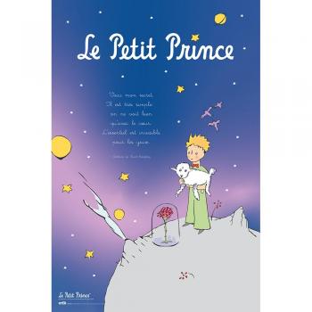 Póster decorativo Le Petit Prince para embellecer tu hogar