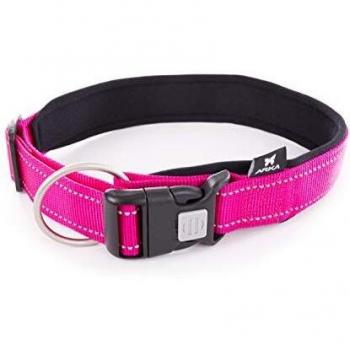 Collar de perro ajustable de nylon Arka Haok XL con correa incluida