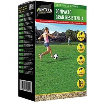 Semillas césped compacto de gran resistencia