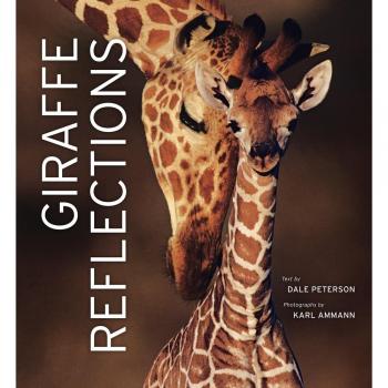 Giraffe Reflections: A Photographic Journey by Dale Peterson
