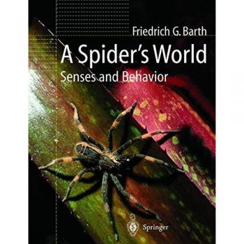 Spider Behavior and Senses: A Comprehensive Guide