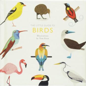 The Little Guide to Birds