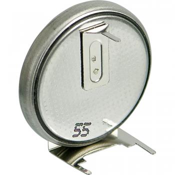 Wentronic CR 2450 - Pilas