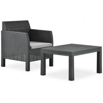 vidaXL 2 Piece Anthracite PP Rattan Garden Lounge Set with Cushion