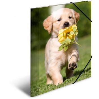 Carpeta Esquinera HERMA A4 Brillo PP con Diseño de Perros