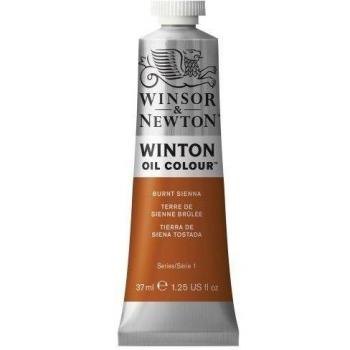 Winsor & Newton Winton - Tubo óleo, 37 ml, color tierra de siena tostada