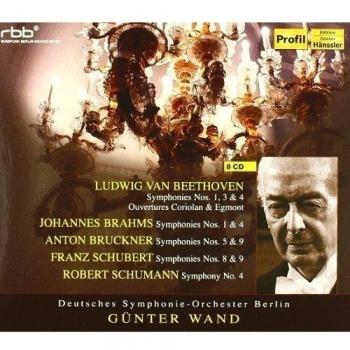 Gunter Wand Box