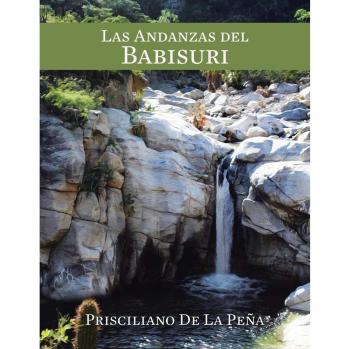 Babisuri: Aventuras y Diversión para Niños