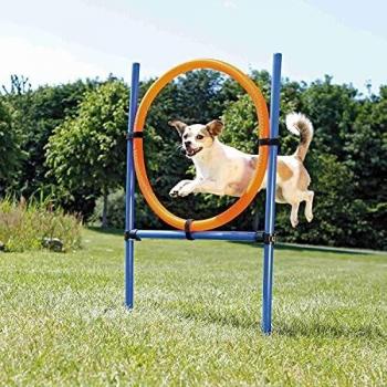 Trixie 3208 Aro para Agility, 115 x 3 cm, Azul Naranja