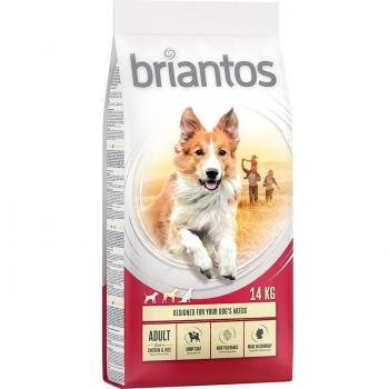 Briantos Adult con pollo y arroz - Pack % - 2 x 14 kg