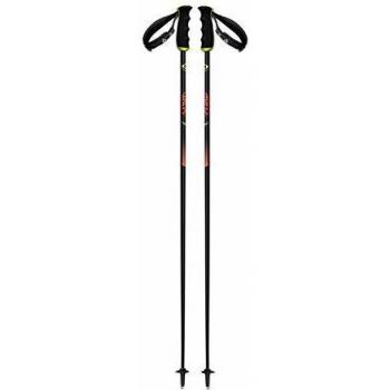 Fischer RC4 The Curv - Bastón de carbono
