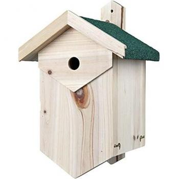 Caja Nido de Madera para Aves Cavadoras 55x40x22 cm, Ø 2,7 cm