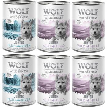 Wolf of Wilderness Junior Pack mixto: 4x Pato y ternera, 2x Pollo y salmón (6 x 400 g)