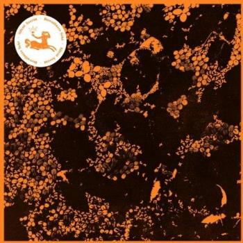 Silent Ascent VINYL