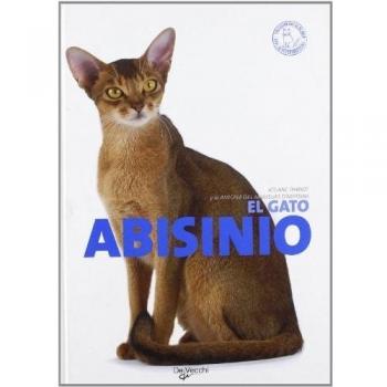 El gato abisinio