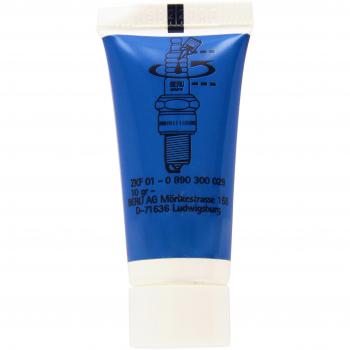 Beru AG 0890300029 Grasa