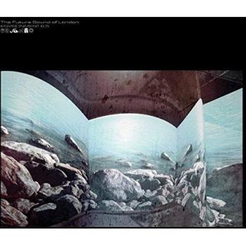 Environment 6.5