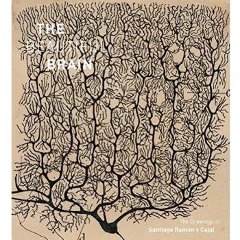 The Beautiful Brain: The Drawings of Santiago Ramon y Cajal