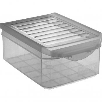 TATAY 1152001 multi-usos caja, tapa para cama individual, 4,5 litros 29 x 19,2 x 12,4 cm de plástico transparente