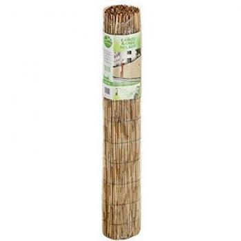 CAÑIZO Bambu PELADO